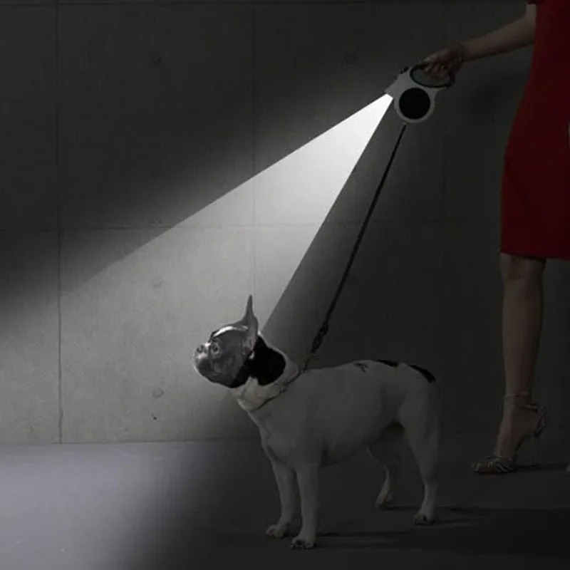 1Pcs Illuminated Retractable D - огляд і ціна Running Gear Dog