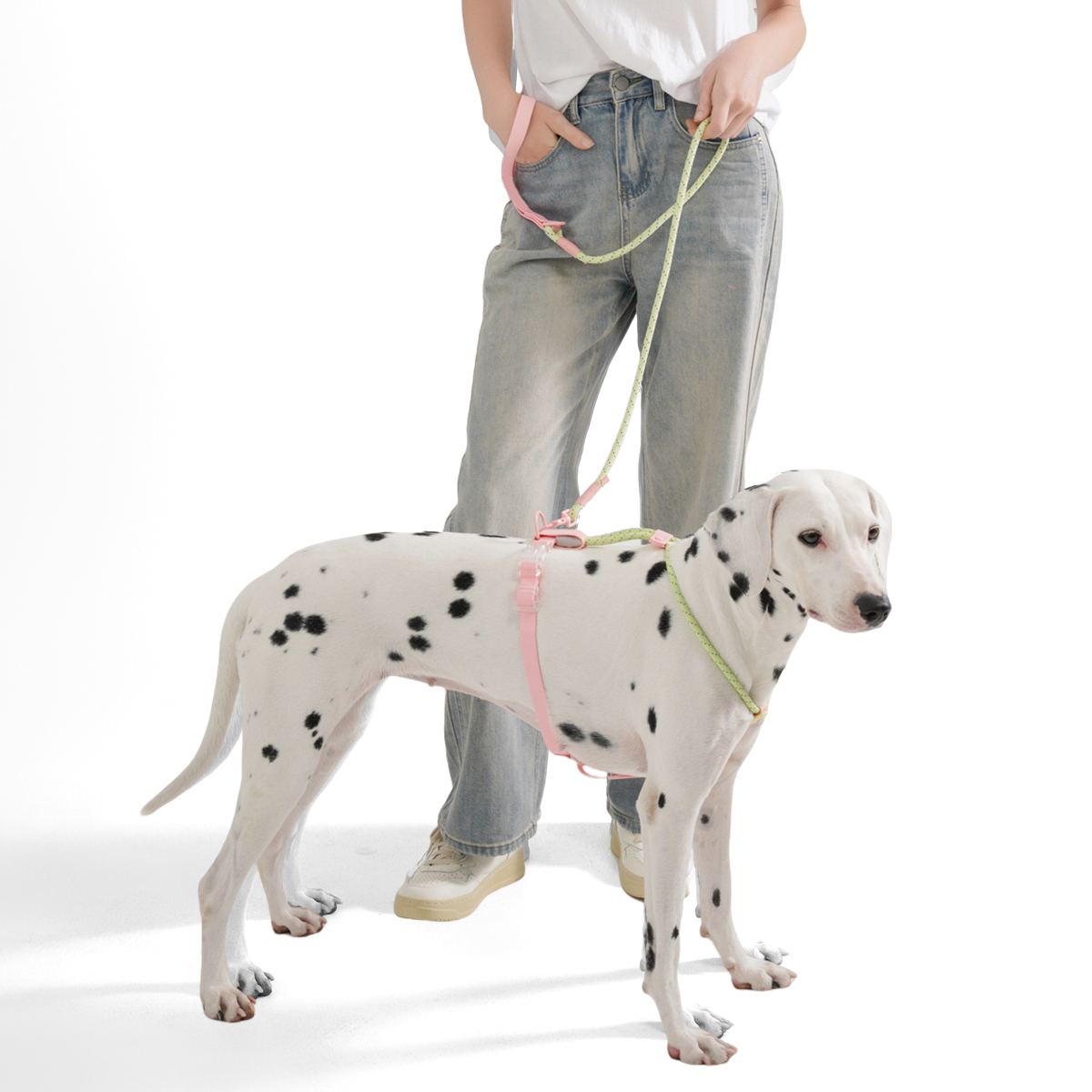 Small And Medium Dogs Harness  - огляд і ціна Running Gear Dog