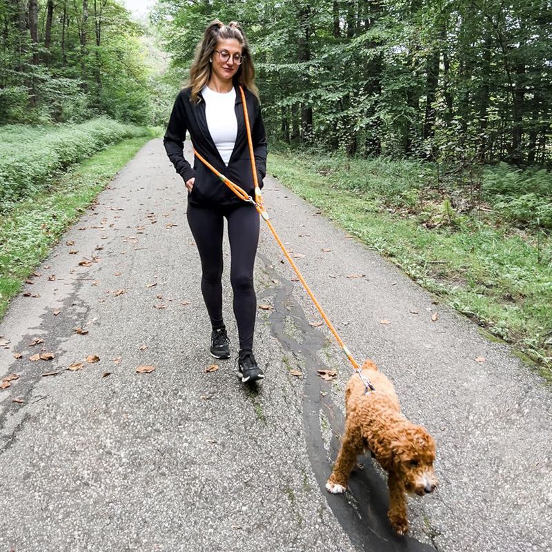 Reflective Hands-Free Dog Leas - огляд і ціна Running Gear Dog