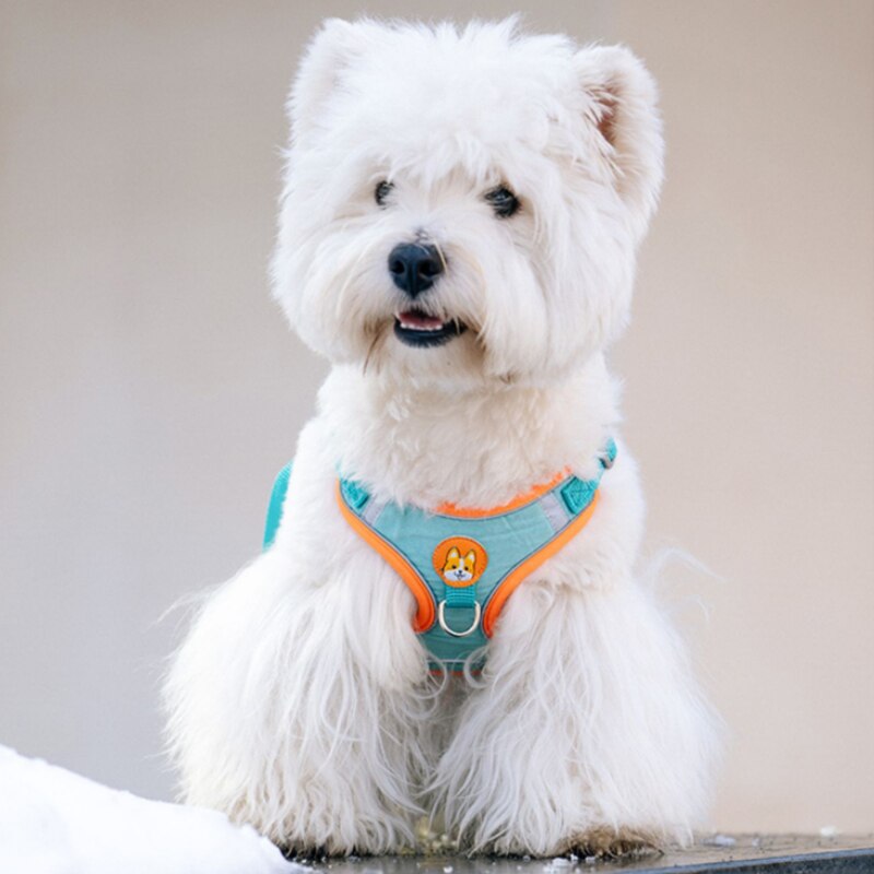 Adjustable No Pull Pet Reflect - огляд і ціна Running Gear Dog